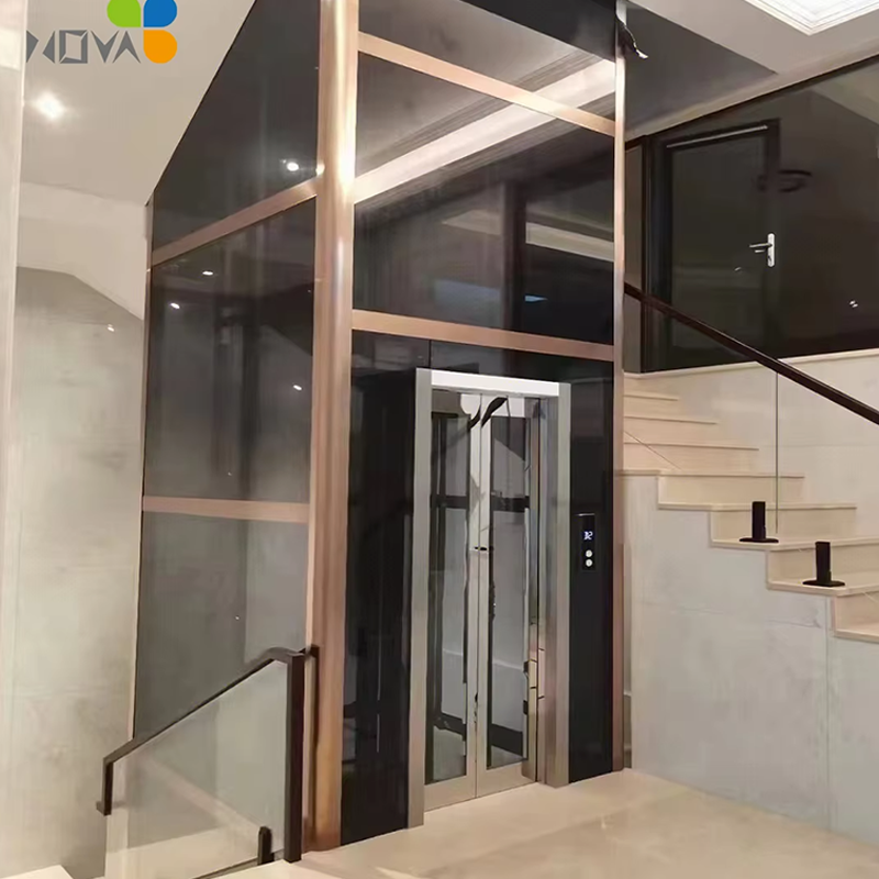 VTEV106 Ascensores Elevadores Ascenseur de villa de haute qualité pour la modernisation de la maison