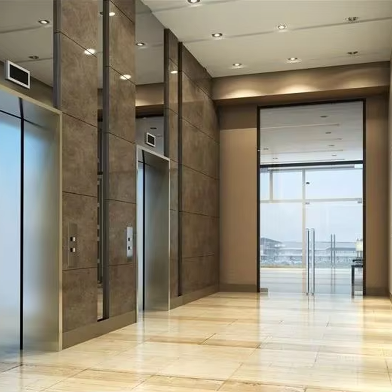 VTEP105 Ascensores Ascenseurs de passagers résidentiels de luxe AC sans engrenage silencieux, efficace et élégant en PVC