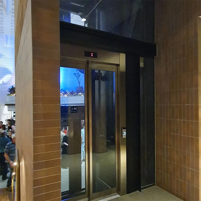 VTEP108 Elevadores Ascenseurs de passagers rapides et fluides pour propriétés commerciales Service rapide