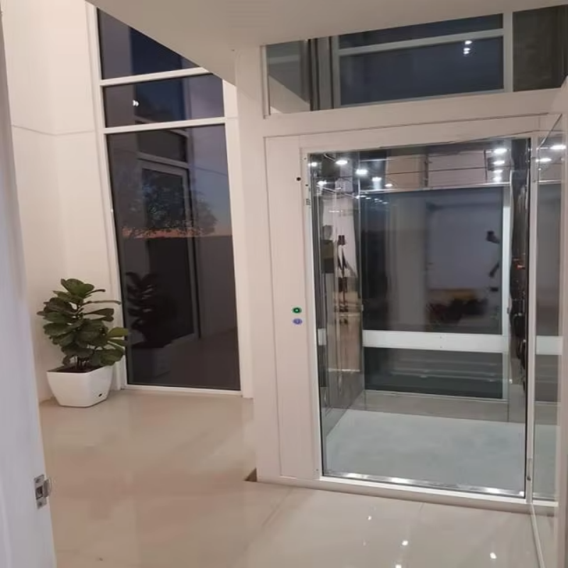 VTEV109 Ascensores Elevadores Ascenseur de villa en verre élégant pour maison duplex privée