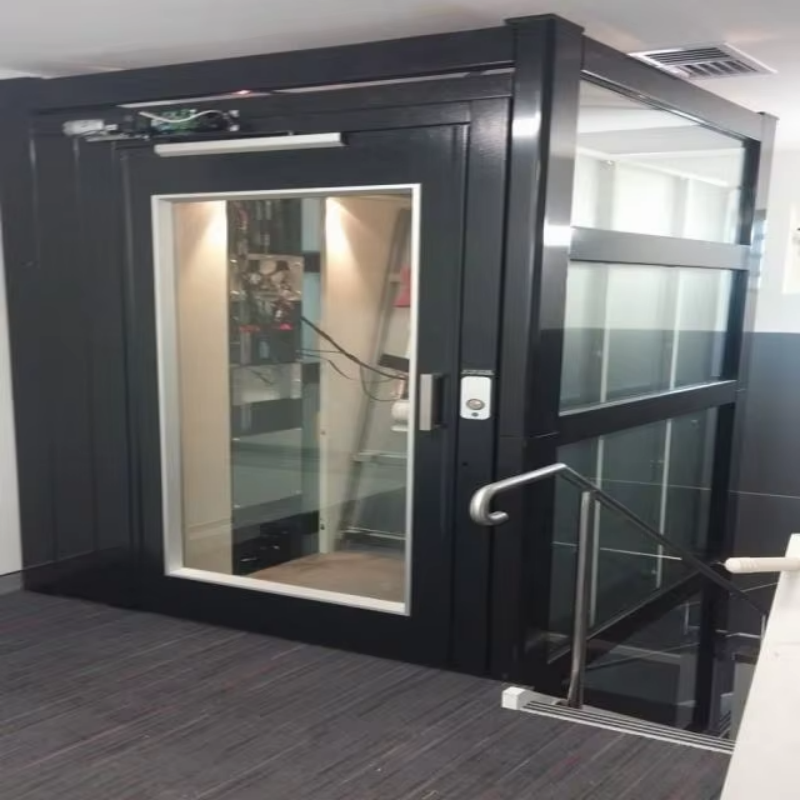 VTEV109 Ascensores Elevadores Ascenseur de villa en verre élégant pour maison duplex privée