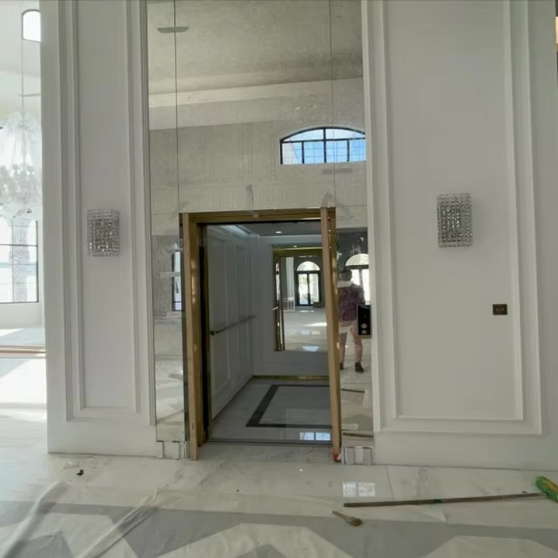 VTEV109 Ascensores Elevadores Ascenseur de villa en verre élégant pour maison duplex privée