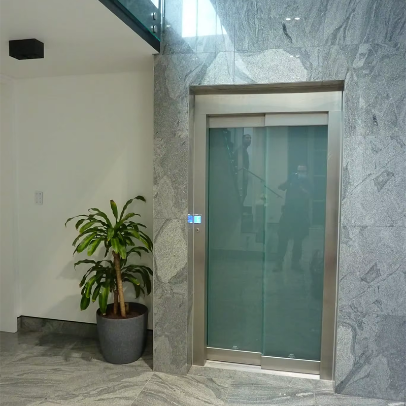 VTEO101 Ascensores Ascenseur d'observation élégant pour immeubles d'appartements et de bureaux de luxe