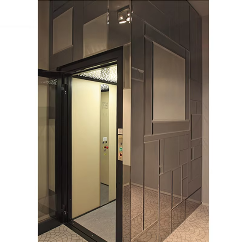 VTEV102 Ascensores Elevadores Ascenseur de villa à économie d'énergie pour la décoration résidentielle