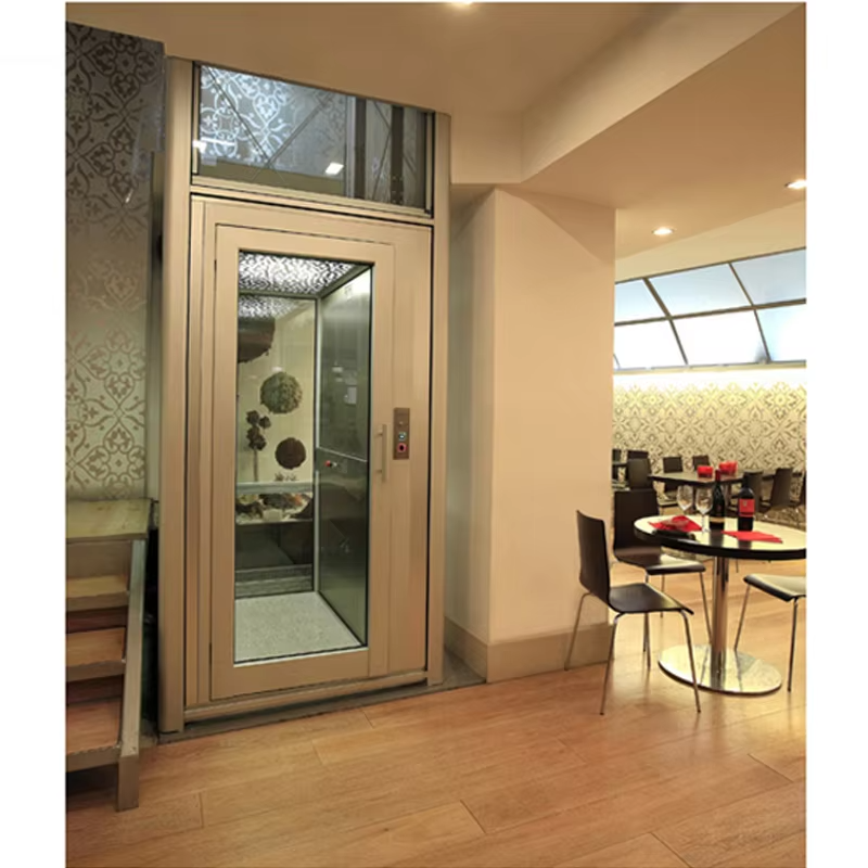 VTEV102 Ascensores Elevadores Ascenseur de villa à économie d'énergie pour la décoration résidentielle