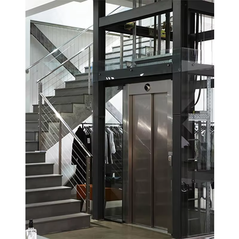 VTEV102 Ascensores Elevadores Ascenseur de villa à économie d'énergie pour la décoration résidentielle