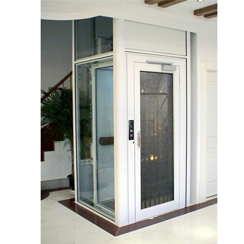 VTEV101 Ascensores Elevadores Ascenseur de villa au design magnifique pour un style de décoration moderne