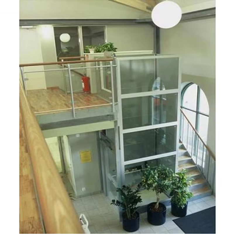 VTEV103 Ascensores Elevadores Ascenseur de villa à contrôle intelligent pour un transport confortable à domicile