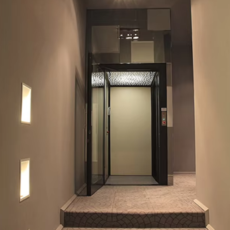 VTEV104 Ascensores Elevadores Ascenseur de villa de luxe en acier inoxydable à usage familial