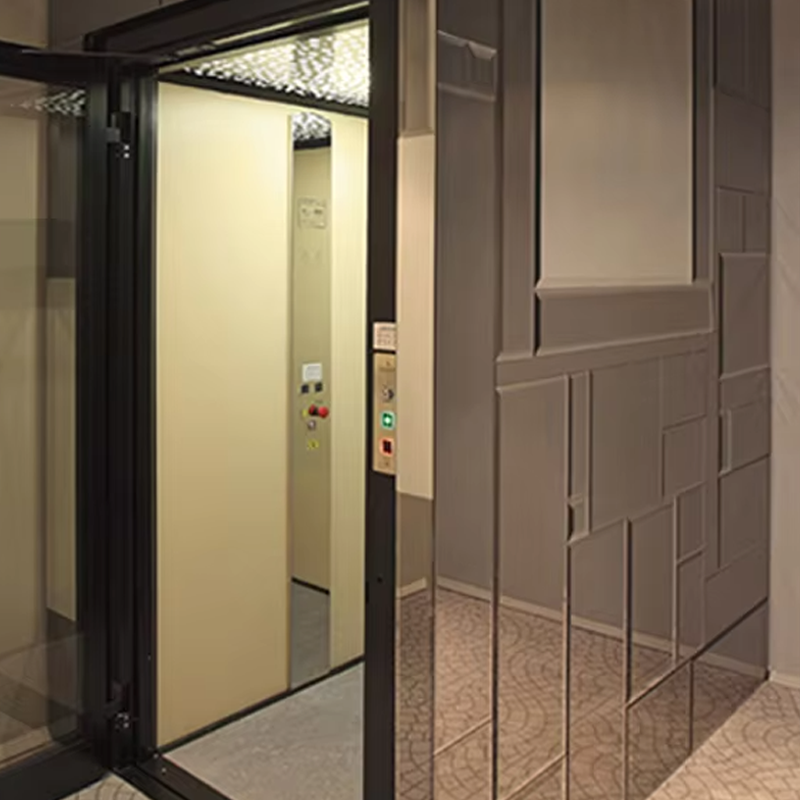 VTEV105 Ascensores Elevadores Ascenseur de villa de cabine personnalisé pour la décoration intérieure