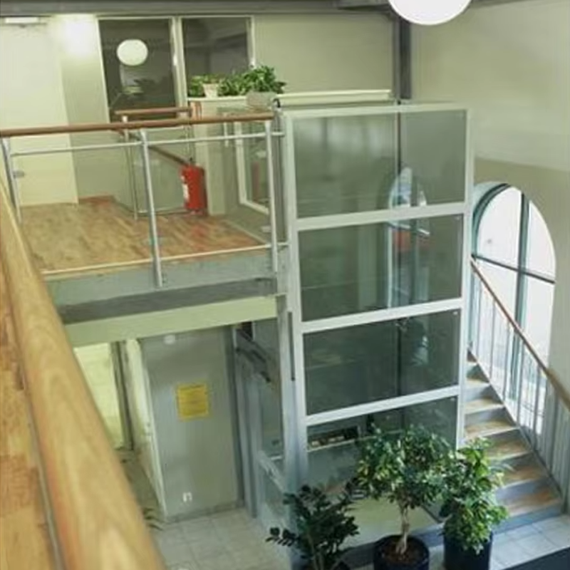 VTEV105 Ascensores Elevadores Ascenseur de villa de cabine personnalisé pour la décoration intérieure
