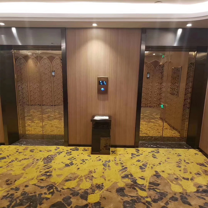 VTEP118 Elevadores Ascenseurs avancés pour passagers Construction sans engrenage en acier inoxydable PVC AC Certifié ISO90001 Fonctionnalités intelligentes améliorées