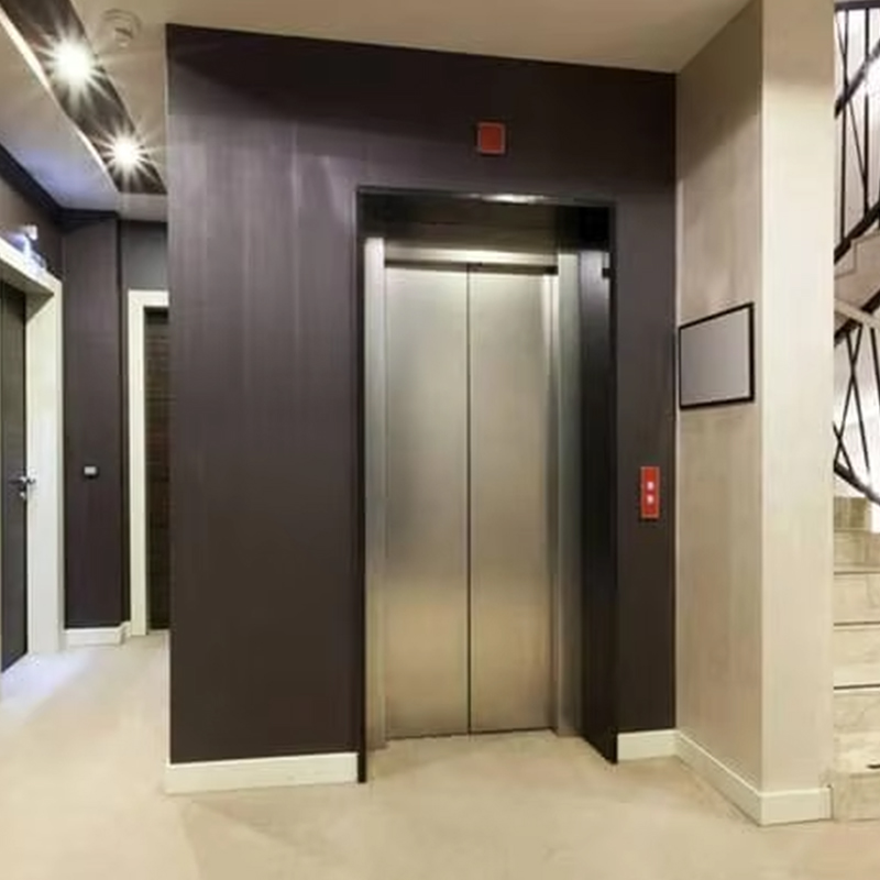 VTEP123 Ascenseur de passagers résidentiel à entraînement alternatif sans engrenage personnalisé de luxe avec conception panoramique