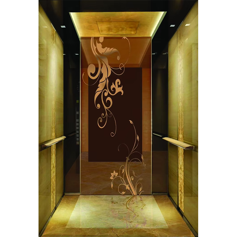 Cabine d'ascenseur d'hôtel de luxe VTSP133, design contemporain en acier inoxydable de qualité supérieure, couleur personnalisée, garantie d'un an