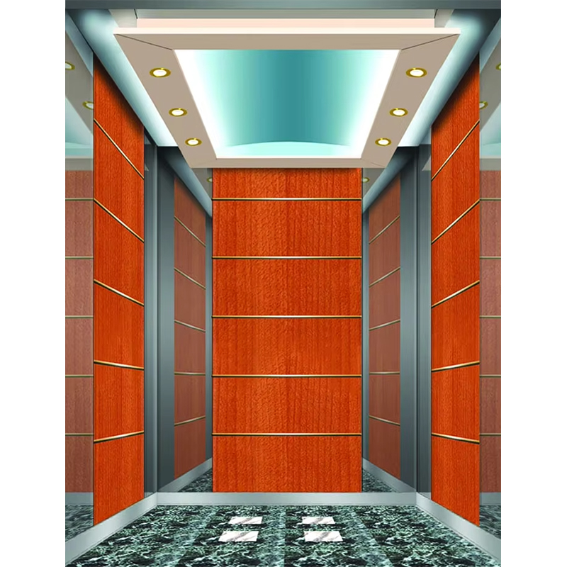 Cabine d'ascenseur d'hôtel de luxe VTSP133, design contemporain en acier inoxydable de qualité supérieure, couleur personnalisée, garantie d'un an