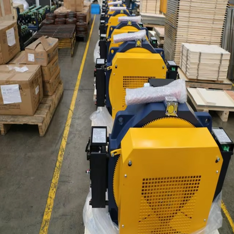 VTSP252 Montanari Machine de Traction sans engrenage MCG200 moteur de levage 800-1350KGS moteur