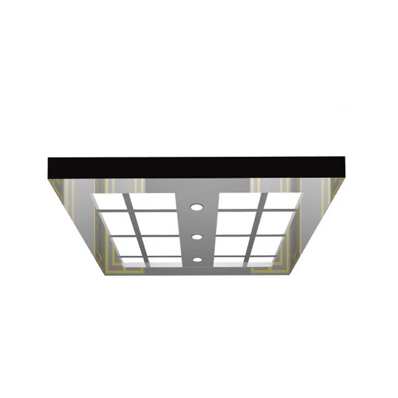 Pièces de modernisation d'ascenseur VTSP138, plafond d'ascenseur personnalisé, miroir d'éclairage LED, plafond d'ascenseur en acier inoxydable